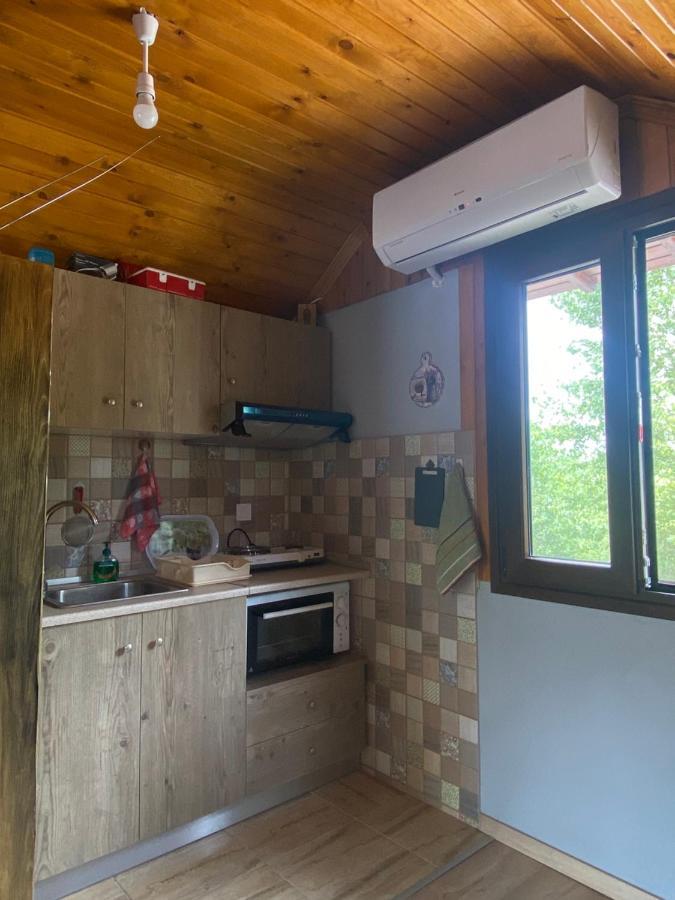 Γαληνη 3 Villa Litóchoron Eksteriør billede
